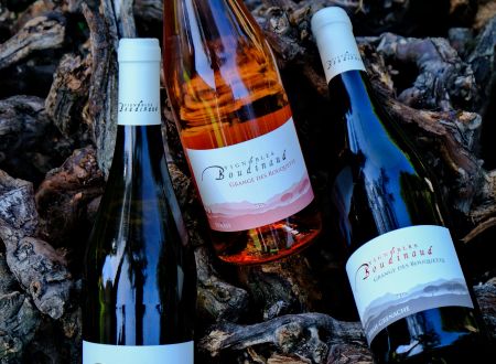 Vignobles Boudinaud 