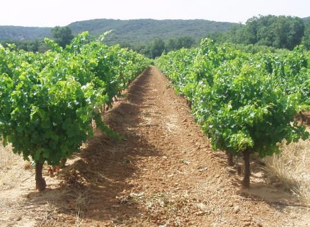 Domaine de Valsenière 