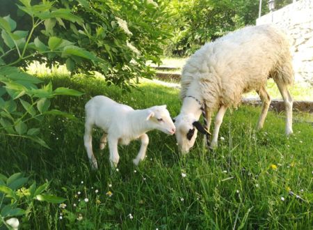 Ferme de Lacassagne 