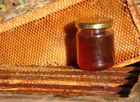 Miel des ruchers du Bas-Quercy 