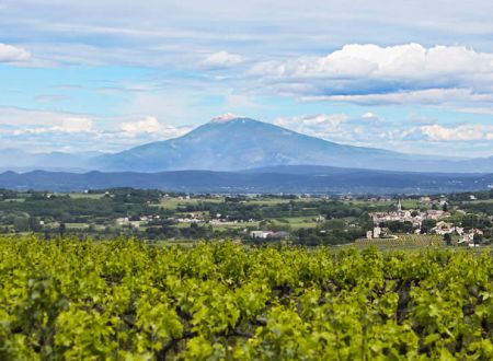 Saint Paulet Vignobles 