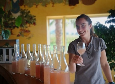 Domaine de Bellefeuille 