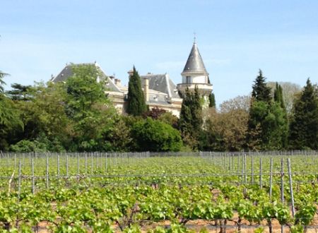 Château la Tuilerie 