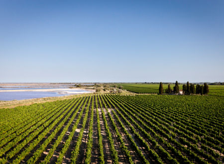 Domaine Royal de Jarras 