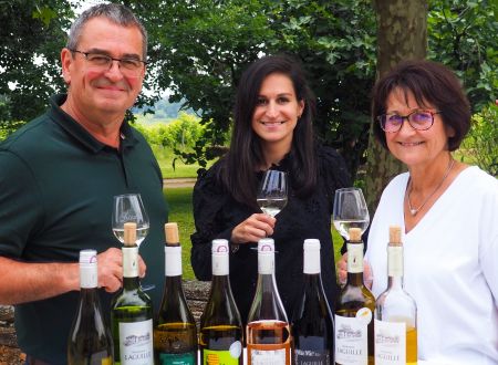 Domaine Laguille 