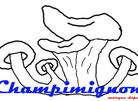 Champimignon 