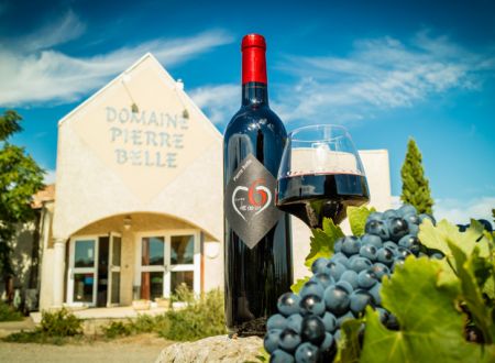 Domaine de Pierre Belle 