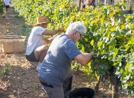 Domaine de l'AB Tourrette 