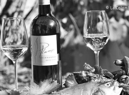 Domaine de la Colombette 