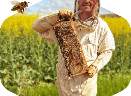 Mella Apiculture 