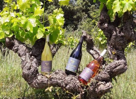 Domaine de la Sigalière 