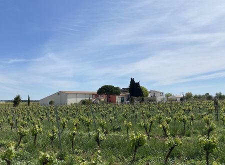 Les Domaines de Petit Roubié 