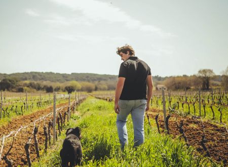 Domaine des Fontaines 