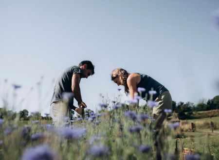 LA FERME DE TERRALYA 