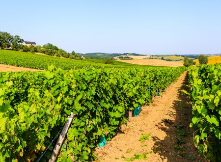 Domaine de Long-Pech 
