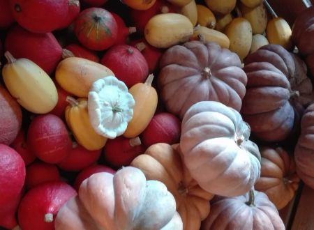 Le Potager de Fontjalabert 