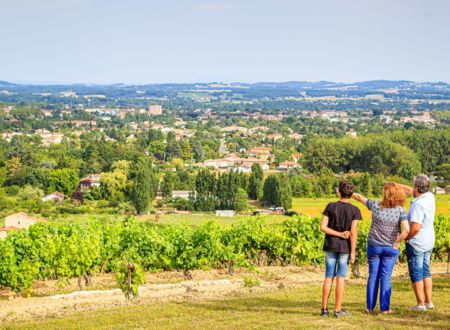 CHAI mon Vigneron au Château Balsamine 