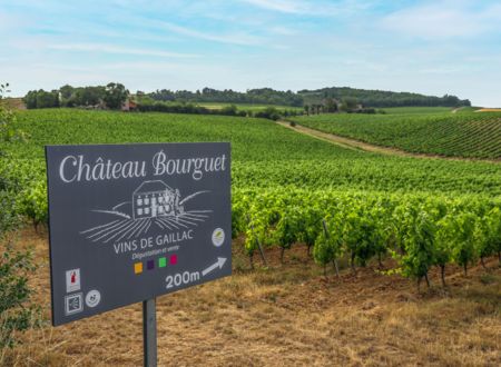 CHAI mon Vigneron au Château Bourguet 