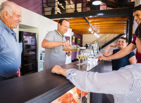 CHAI mon Vigneron - Vignobles Jérôme Bézios (Domaine la Croix des Marchand / Château Palvié) 