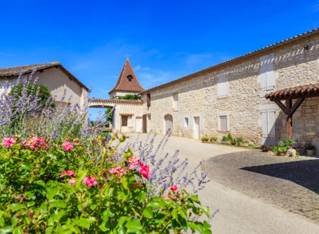 CHAI mon Vigneron au Mas d'Aurel 