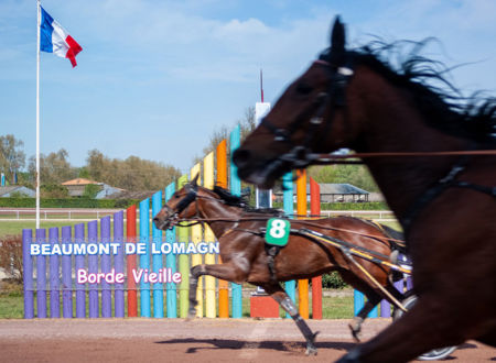 Courses hippiques - 11h30 Le 13 oct 2024