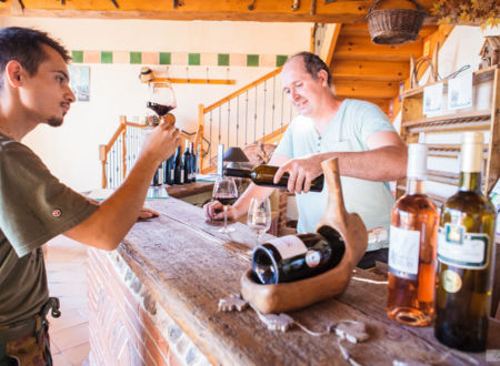 CHAI mon Vigneron au Domaine du Moulin 