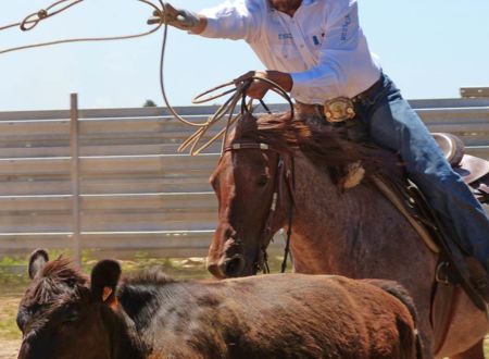 Authentic Cowboys à Randals bison 