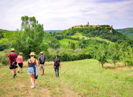 Visite guidée gratuite au Conservatoire Départemental d'espèces fruitières et vignes anciennes 