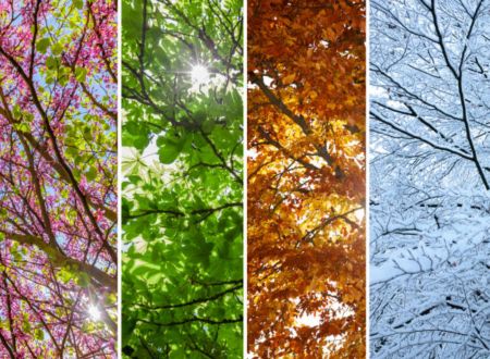 Festival Les 4 saisons de La Bellongaise 