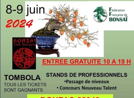 Exposition / Bonsaï région sud Du 8 au 9 juin 2024