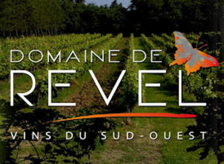 Venez en famille au Domaine de Revel à Vaïssac 