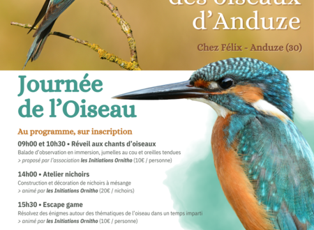 Journée de l'Oiseau - A la rencontre des oiseaux d'Anduze 