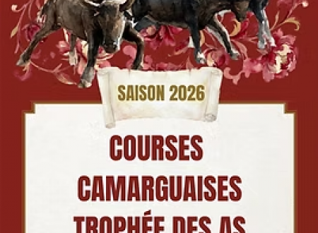 Course Camarguaise - Trophée des As 