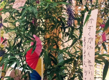 La Bambouseraie - Tanabata, la fête des étoiles au Japon 
