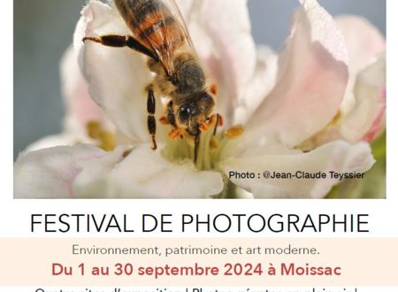 Festival de photo 