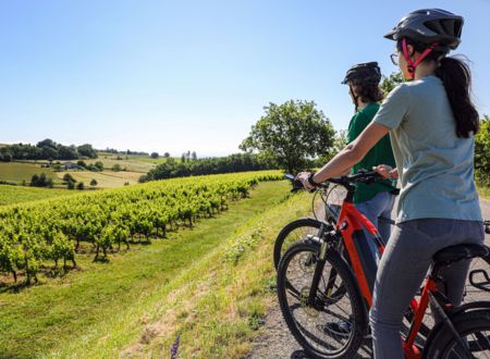 Balade à vélo électrique & dégustation de vins bio - Domaine Gayrard 