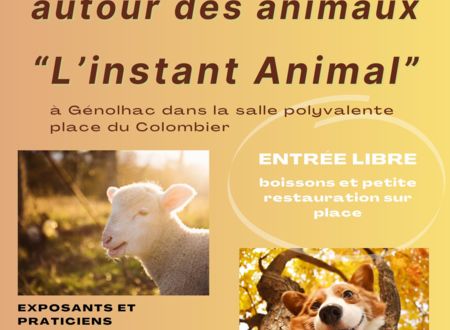 Salon du bien-être animal: L'Instant Animal 