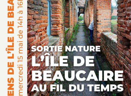 Sortie Nature : L'île de Beaucaire au fil du temps 