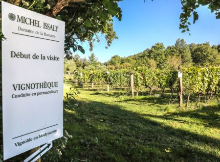 Visite et dégustation dans le Vignoble - Domaine Michel... Du 1 août au 15 oct 2024