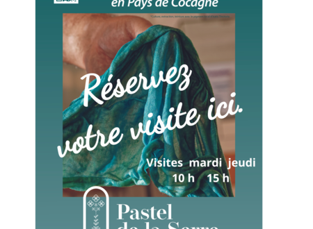 Visite guidée au Pastel de la Serre 