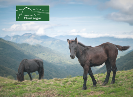 Descente des Gorges de la Frau avec les chevaux mérens 