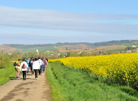 Randonnée pédestre 