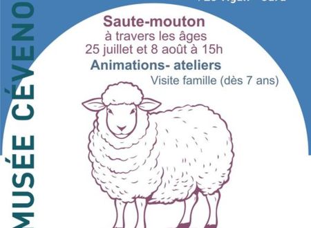 Saute - Mouton 