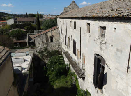 Histoire du palais du cardinal Arnaud de Via 