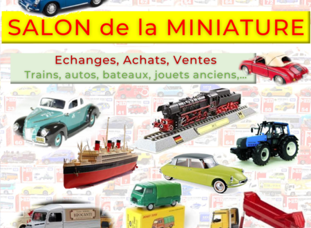 Salon de la miniature - salle des spectacles 