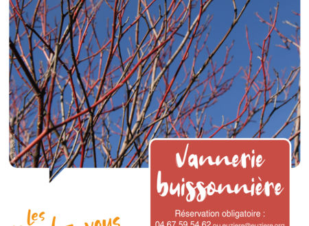 LES RENDEZ-VOUS NATURE - Vannerie buissonnière 