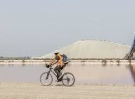 Visite guidée à vélo au Salin d'Aigues-Mortes 