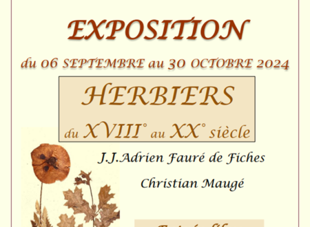 Exposotion 