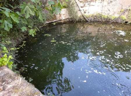 Découverte de la fontaine miraculeuse de Font Cluse - JEP 