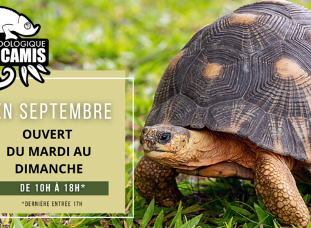 Septembre à l'Espace Zoologique Exoticamis 